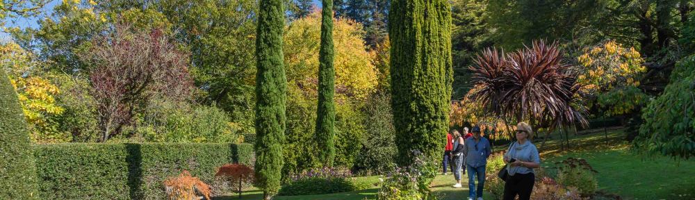 Mount Macedon, Victoria - Australia 'Duneira Heritage Garden' Photographed by Karen Robinson April 2019 Comments - A beautiful Autumn day with hubby at these magnificent gardens where tall trees are the dominating feature. Photograph featuring Secret Garden area.