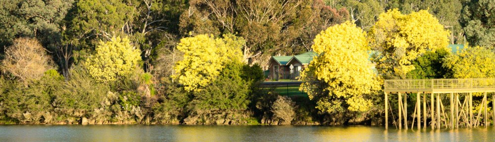 Eildon, Victoria - Australia 'Goulburn River View' Photographed from Karen Robinson August 2019 Comments - Beautiful views of the Goulburn River with reflections of bright yellow wattle trees on the river's surface.