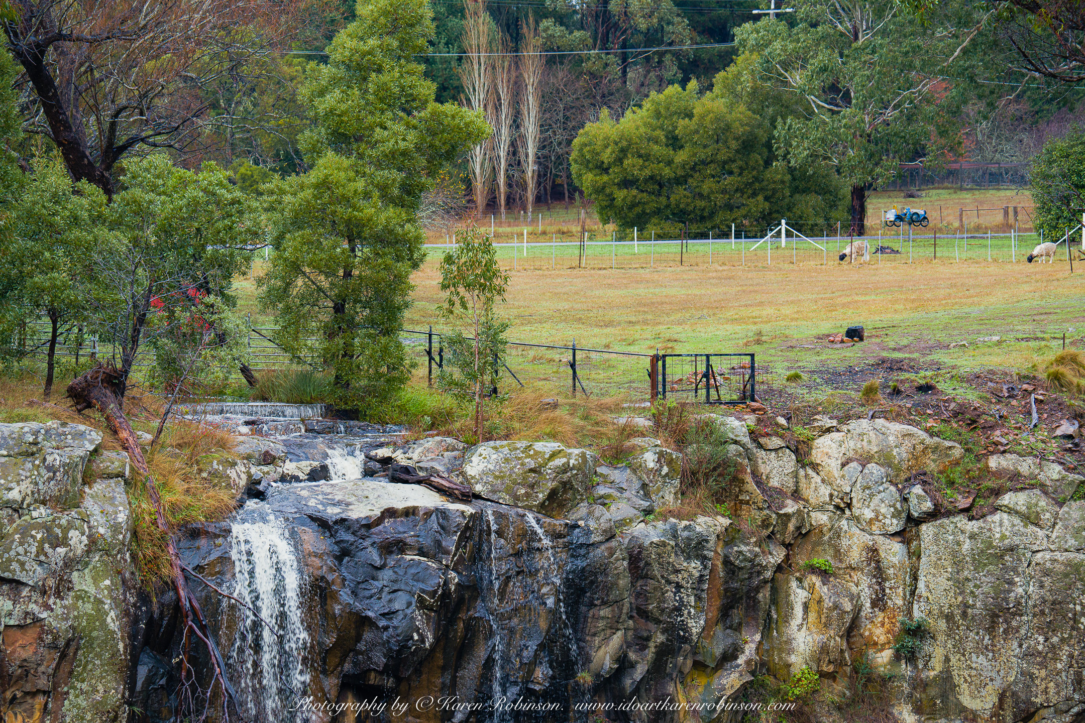 Photography 2021 – Landscape: “Sailors Falls, Victoria –
Australia” Written and Photographed by Karen Robinson